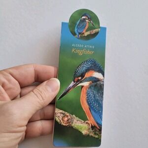 Cardmarks Kingfisher Bird Wild Nature Magnetic Magnet UK Company If 2402 Y2k 00s
